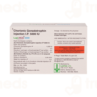 Lupi Hcg 5000 Injection 1