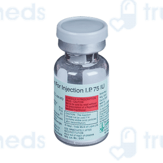 Lupi Hmg 75 Injection 1