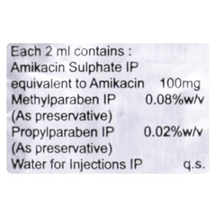 Macmika 100 Mg Injection 2 Ml