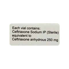 Maczone 250 Mg Injection 1 Maczone 250 Mg Injection 1