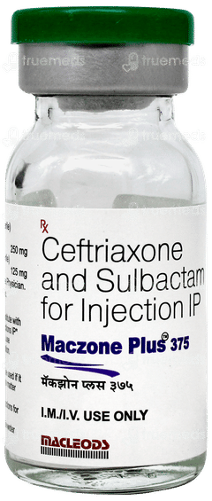 Maczone Plus 375 Injection 1 Maczone Plus 375 Injection 1