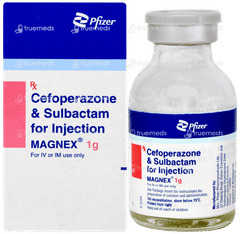 Magnex 1g Injection 1 Magnex 1g Injection 1