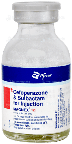 Magnex 1g Injection 1