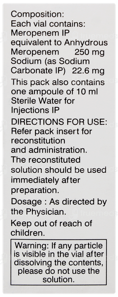 Mero 250mg Injection 1