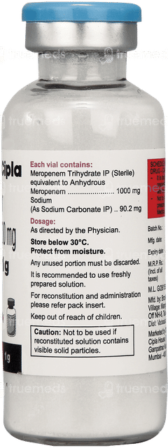 Meronic 1G Injection 1 Meronic 1G Injection 1