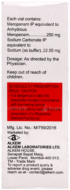 Merosure 250Mg Injection 1