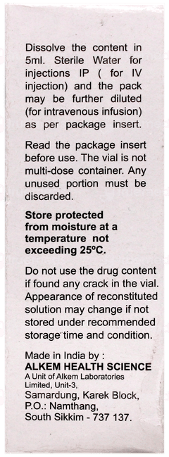 Merosure 250Mg Injection 1