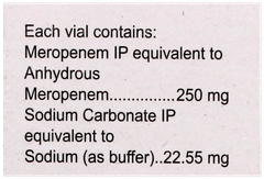 Merosure 250Mg Injection 1