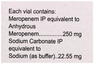 Merosure 250Mg Injection 1