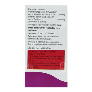 Merotrol 250 Mg Injection 1