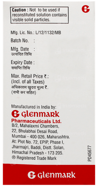 Merrobe 1G Injection 1