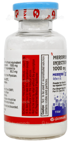 Merrobe 1G Injection 1