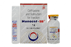 Monocef Sb 1g Injection 1