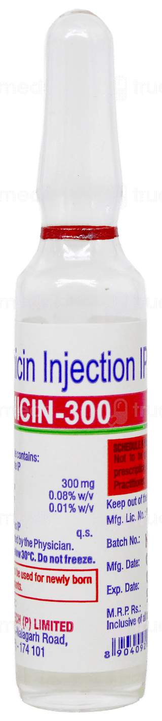 Netmicin 300 Injection 3Ml