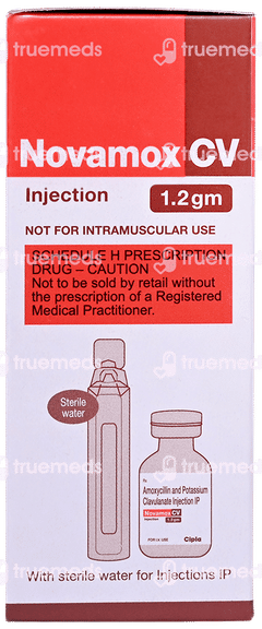 Novamox Cv 1.2gm Injection 1 Novamox Cv 1.2gm Injection 1