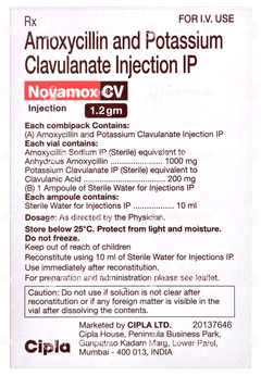 Novamox Cv 1.2gm Injection 1 Novamox Cv 1.2gm Injection 1