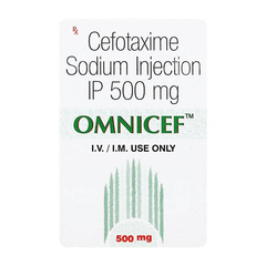 Omnicef 500 Mg Injection 2 Ml Omnicef 500 Mg Injection 2 Ml