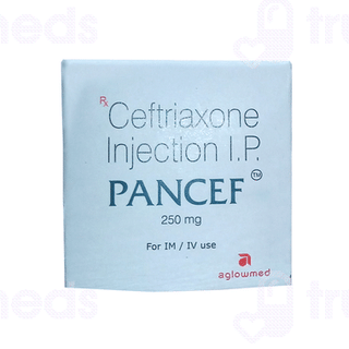 Pancef 250 MG Injection 1