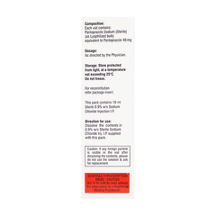 Panpot Iv 40Mg Injection 1