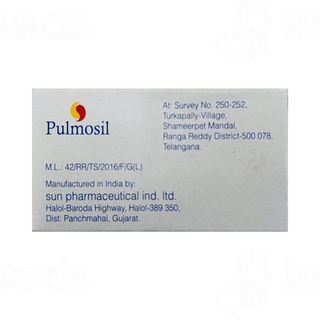 Pulmosil 0.8 MG Injection 12.5 ML