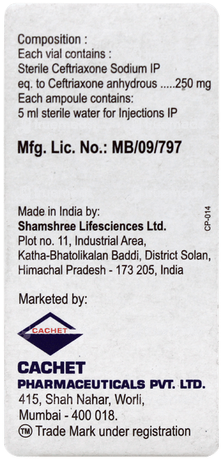 Traxol 250 Injection 1