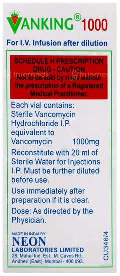 Vanking 1000 Infusion 1