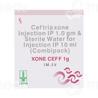 Xone Ceff 1g Combipack Injection 1