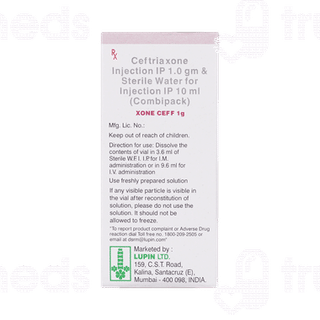 Xone Ceff 1g Combipack Injection 1