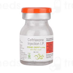 Xone Ceff 0.25g Injection 1