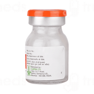 Xone Ceff 0.25g Injection 1