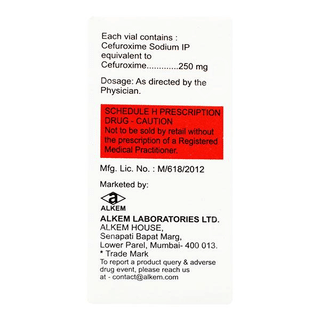 Zocef 250 Mg Injection 1