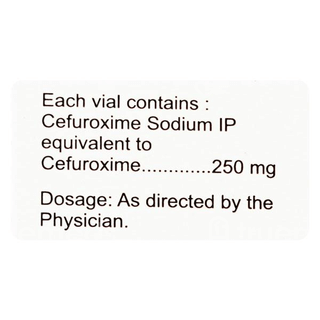 Zocef 250 Mg Injection 1