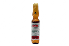 Zofer Injection 2ml Zofer Injection 2ml