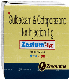 Zostum 1gm Injection 1 Zostum 1gm Injection 1