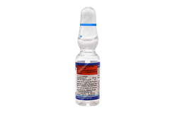 Michelle Aq Injection 1ml