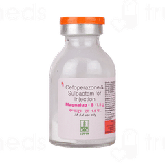 Magnalup S Injection 1 Magnalup S Injection 1