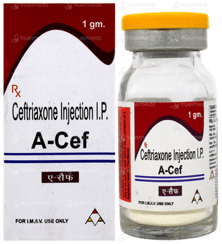 A Cef 1 GM Injection 1