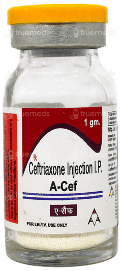 A Cef 1 GM Injection 1