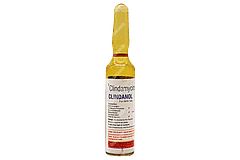 Clindanol 600mg Injection 4ml