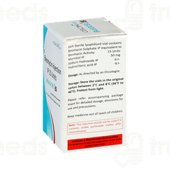 Bleocel 15 Injection 1