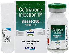 Biocef 250 Injection 1