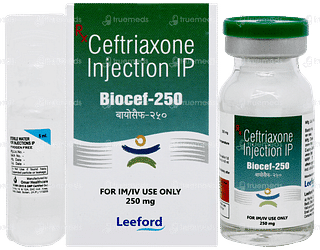 Biocef 250 Injection 1