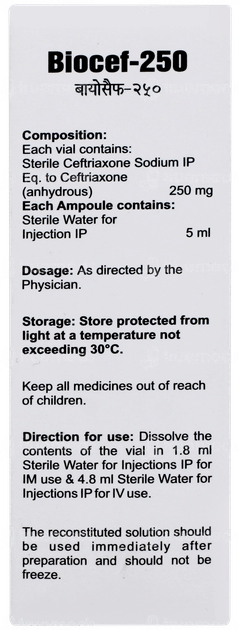 Biocef 250 Injection 1