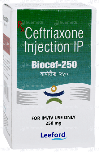 Biocef 250 Injection 1