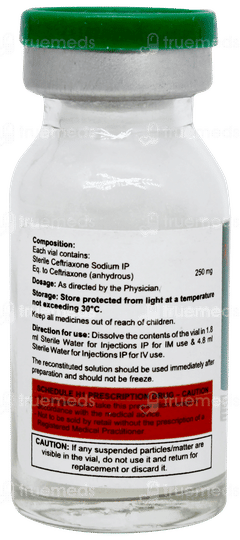 Biocef 250 Injection 1