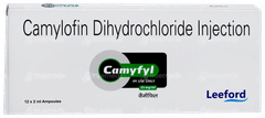 Camyfyl Injection 2ml