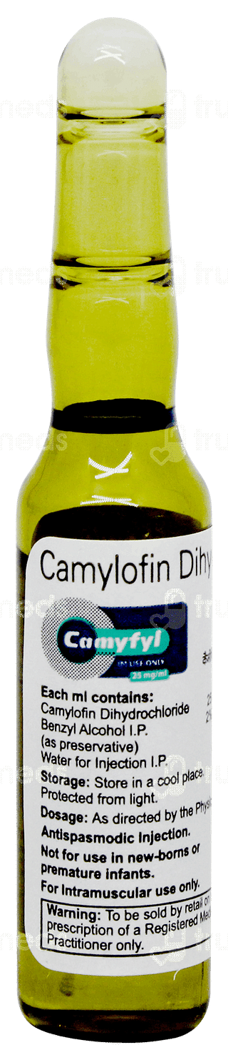 Camyfyl 25 MG Injection 2 ML