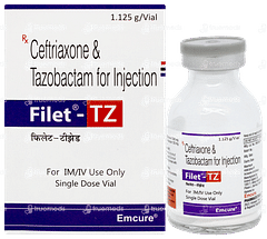 Filet Tz Injection 1