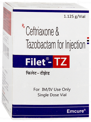 Filet Tz Injection 1