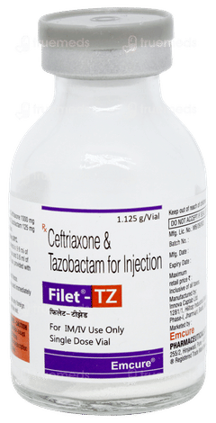 Filet Tz Injection 1 Filet Tz Injection 1